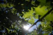 52-Gallery-
