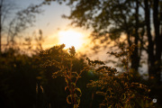 52-Gallery-10