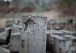 Laowa-RF100-Samples-25