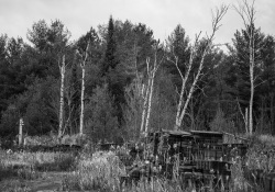 Laowa-RF100-Samples-27