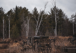 Laowa-RF100-Samples-28