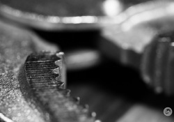 Laowa-RF100-Samples-44