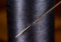 30-Needle-and-Thread-1