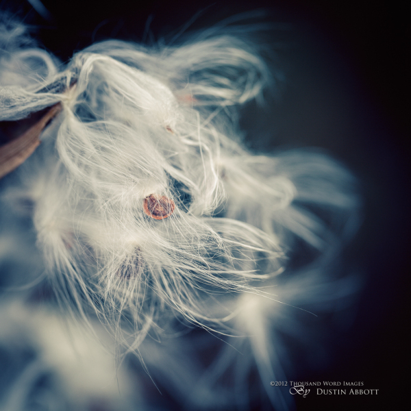 Let Your Hair Down