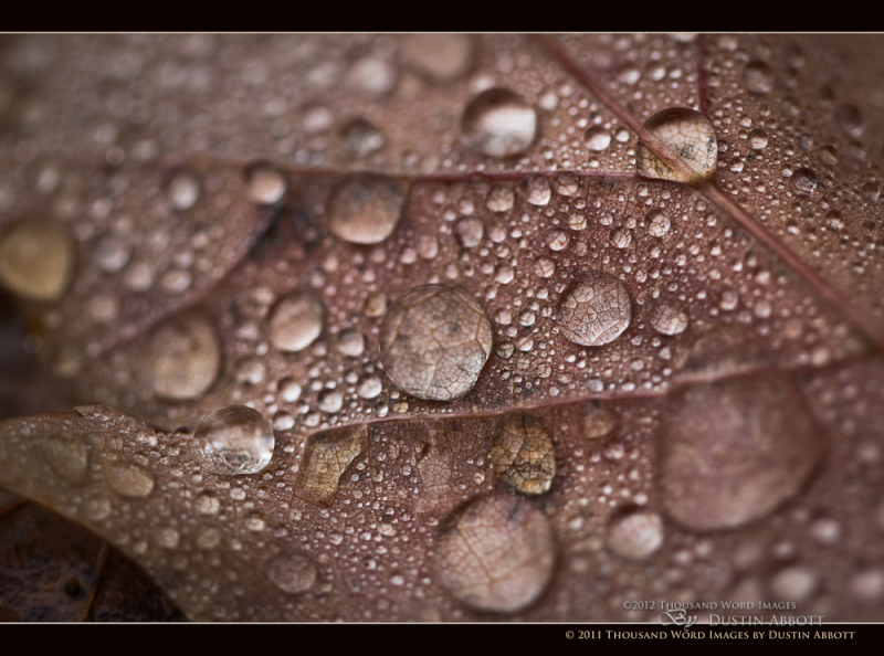Macro Magic