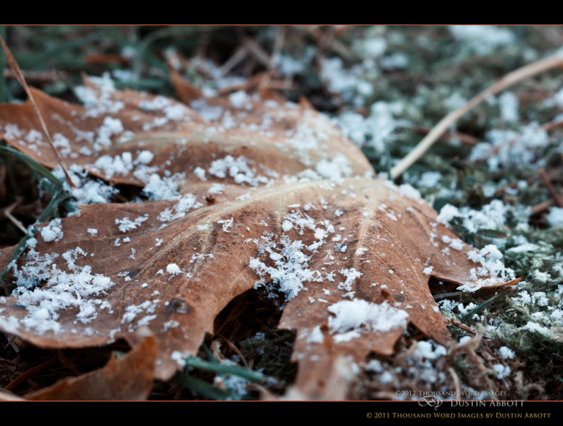 Seasonal Collision