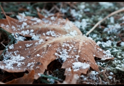 Seasonal Collision