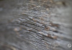 Meike-85-STM-Samples-31
