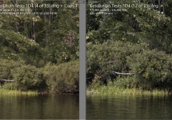 Tamron vs 135 Grasses Right Side