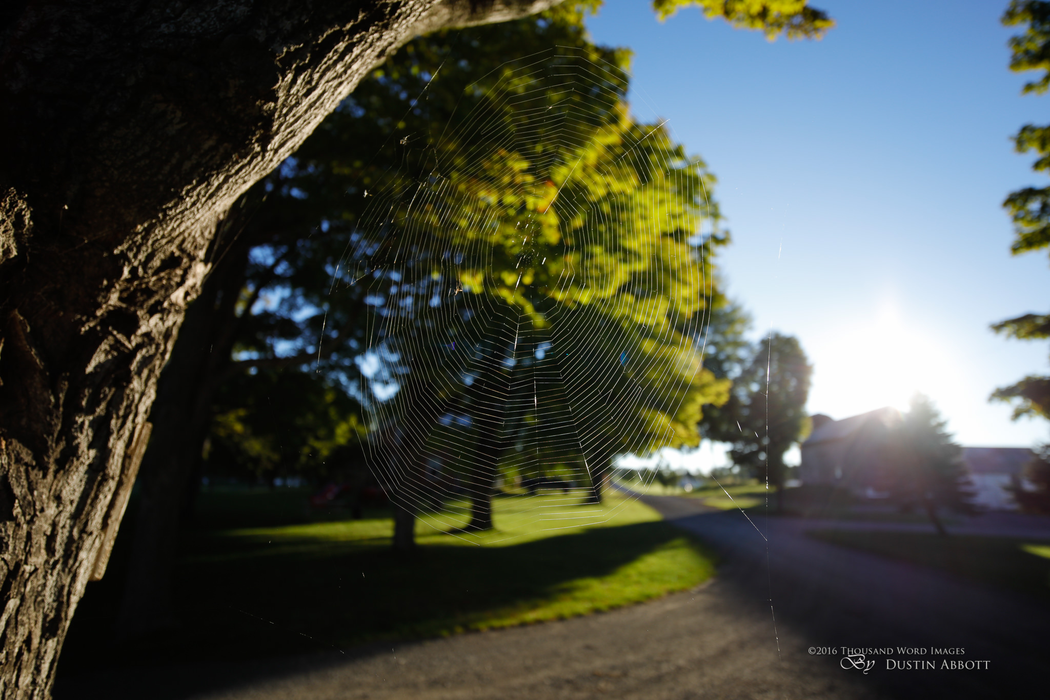 Huycks 18mm-10