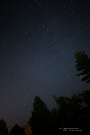 First Milvus 18mm Samples-5