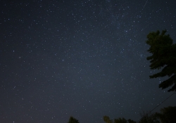 First Milvus 18mm Samples-5