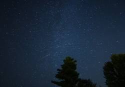 First Milvus 18mm Samples-6