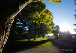 Huycks 18mm-10