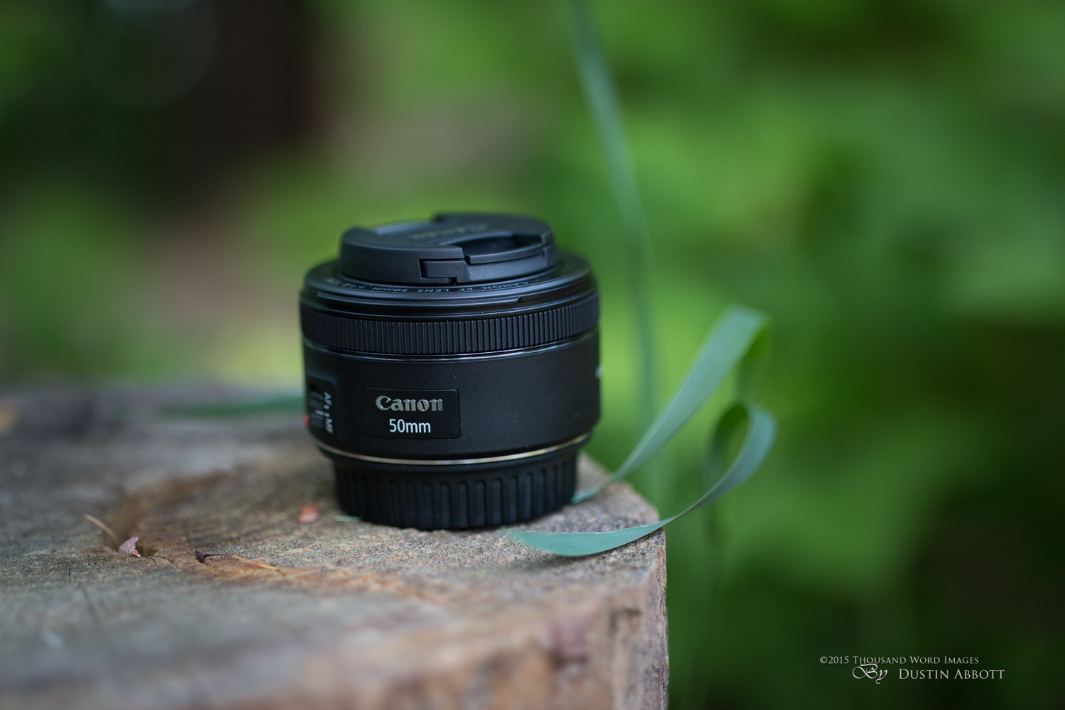 Canon EF 50mm f/1.8 STM Review - DustinAbbott.net