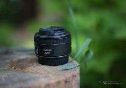 Canon EF 50mm f/1.8 STM Lens Hands-On Review