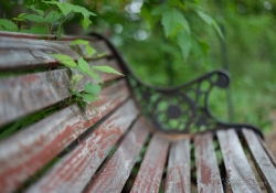 Nifty Fifty-8