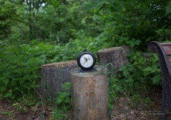 Canon 40 Center-1