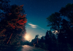 By Light of the Moon