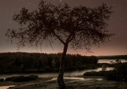 Twilight