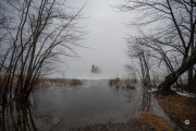 47-Gallery-4-of-12