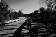 40-Gallery-14