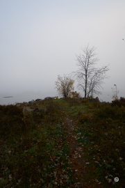 40-Gallery-21