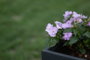 45-Gallery-1-of-18