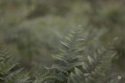 45-Gallery-2-of-18
