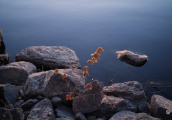 Samples-20