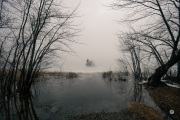 46-Gallery-11-of-13