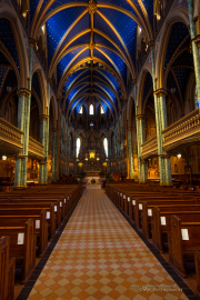 Notre Dame Cathedral Basilica