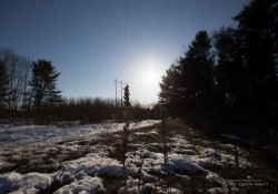 Canon Flare Resistance Series-3.jpg