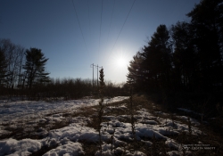 Canon Flare Resistance Series-4.jpg
