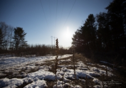 Tamron Flare Resistance Series-3.jpg