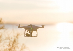 Shots of the Drone-2