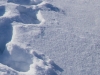 Pristine