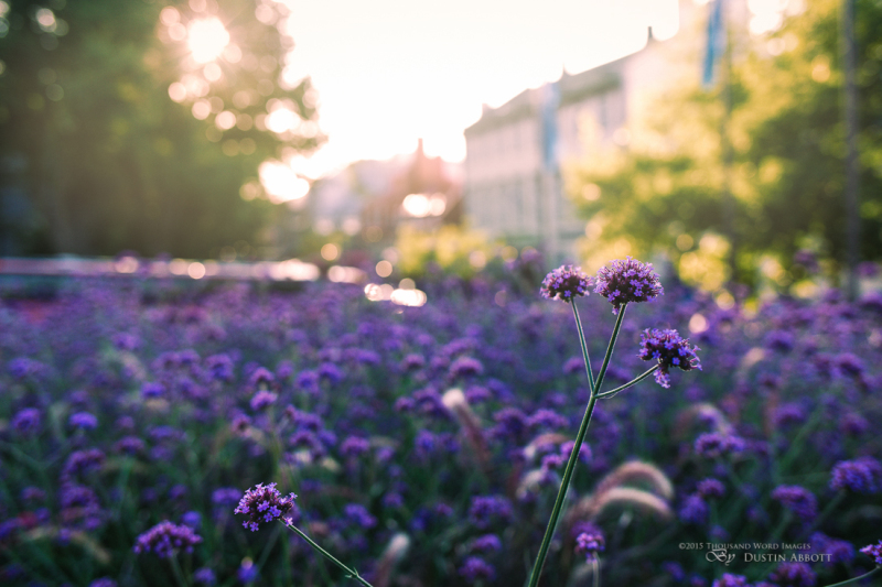 Quebec City in Bokeh