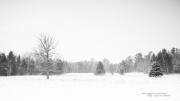 The Season for Storms