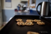 Samples Round 1-8