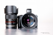 Beautiful Little Lenses-3