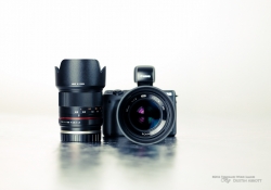 Beautiful Little Lenses-2