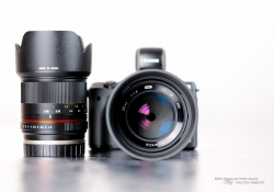 Beautiful Little Lenses-3