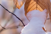 04 Chromatic Aberrations