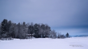 Waterfront Property