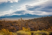 Four Peaks - Rokinon 50mm f/1.4