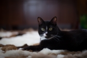 Processed Samples-7.jpg