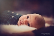 Brand New - Rokinon 50mm f/1.4