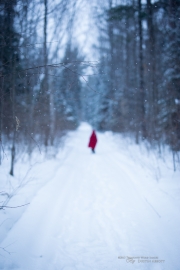 Rokinon 50mm-14.jpg
