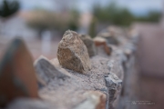 Rokinon 50mm-40.jpg